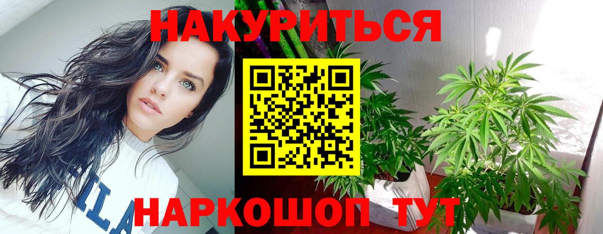 Бошки Шишки план Моршанск